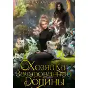 Постер книги Хозяйка зачарованной долины