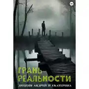 Постер книги Грань реальности