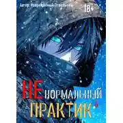 Постер книги Ненормальный практик 6