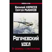 Постер книги Рогачевский узел. От обороны к наступлению