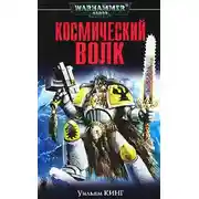 Постер книги Космический волк