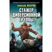Постер книги Стажер диверсионной группы