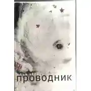 Постер книги Проводник