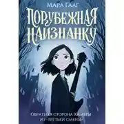 Постер книги Порубежная наизнанку