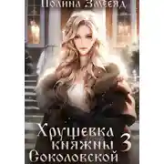 Постер книги Хрущевка княжны Соколовской 3