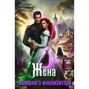 Постер книги Жена неверного инквизитора, или Фастфуд от попаданки