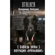 Постер книги Сквозь Зоны. Операция «Пропавшие»