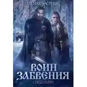 Постер книги Воин забвения. След бури