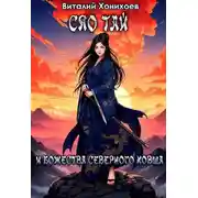 Постер книги Сяо Тай и Божества Северного Ковша