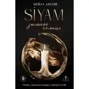 Постер книги Зимнее солнце