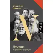 Постер книги Лекции по русской литературе