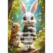 Постер книги Волшебное путешествие маленького кролика