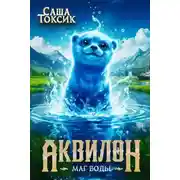 Постер книги Аквилон. Маг воды. Том 3