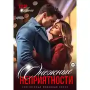 Постер книги (С)нежные неприятности