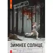 Постер книги Зимнее солнце
