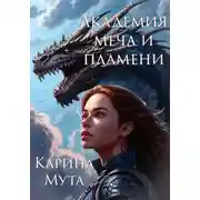 Постер книги Академия меча и пламени