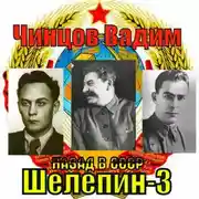 Постер книги Назад в СССР. Шелепин-3
