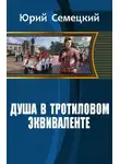 Юрий Семецкий - Душа в тротиловом эквиваленте