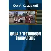 Постер книги Душа в тротиловом эквиваленте