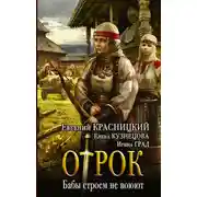 Постер книги Бабы строем не воюют