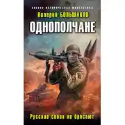 Постер книги Русские своих не бросают