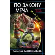 Постер книги По закону меча. Мы от рода русского!
