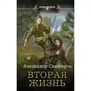Постер книги Вторая жизнь