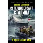 Постер книги Супердиверсант Сталина. И один в поле воин