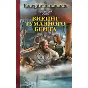 Постер книги Викинг туманного берега