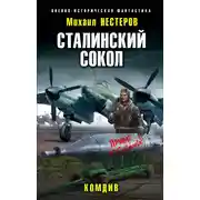 Постер книги Комдив