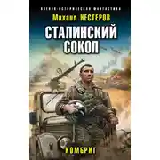 Постер книги Комбриг