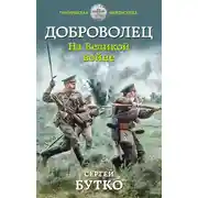 Постер книги Доброволец. На Великой войне
