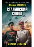 Михаил Нестеров - Маршал авиации