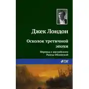 Постер книги Осколок третичной эпохи