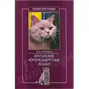 Постер книги Британские короткошерстные кошки