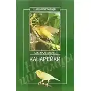 Постер книги Канарейки