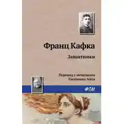 Постер книги Защитники