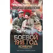 Постер книги Боевой 1918 год. Комбриг