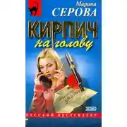 Постер книги Кирпич на голову