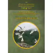 Постер книги Амурская сага