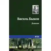 Постер книги Довжик