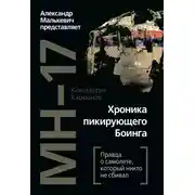 Постер книги MH-17. Хроника пикирующего Боинга. Правда о самолете, который никто не сбивал