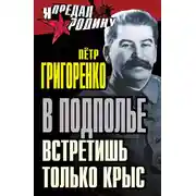 Постер книги В подполье встретишь только крыс