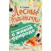 Постер книги Лесные тайнички. С вопросами и ответами для почемучек