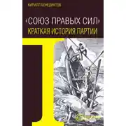 Постер книги Союз Правых Сил. Краткая история партии