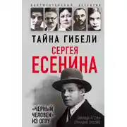 Постер книги Тайна гибели Сергея Есенина. «Черный человек» из ОГПУ