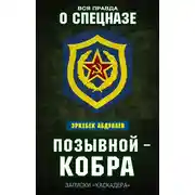 Постер книги Позывной – Кобра. Записки «каскадера»