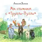 Постер книги Мы считаем с «Трулли-Пулли»