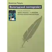 Постер книги Вологодский полтергейст