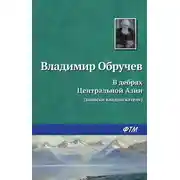 Постер книги В дебрях Центральной Азии (записки кладоискателя)
